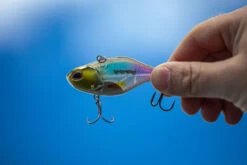 Berkley DEX Ripper -Angelgeschäft 1572667r 5