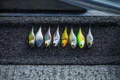 Berkley DEX Ripper -Angelgeschäft 1572667r 6