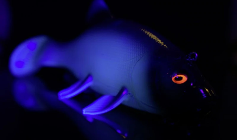 Quantum Freak Of Nature Swimbait Tench 23cm, 270g 6 Quantum Freak Of Nature Swimbait Tench 23cm, 270g – Bild 4