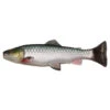 Savage Gear 3D Craft Trout Pulsetail 16cm, 53g (bulk) -Angelgeschäft 71837r 1