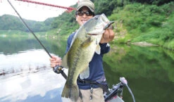 Fish Arrow Free Rig Sinker Tungsten -Angelgeschäft FA 4573251342053r 5