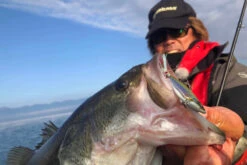 Megabass Dyna Response 14g -Angelgeschäft MB DR 4513473478703r 2