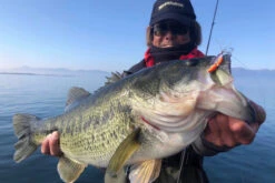 Megabass Dyna Response 14g -Angelgeschäft MB DR 4513473478703r 3