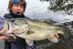 Megabass Vibration-X Dyna (Rattle In) -Angelgeschäft MB VXDR 4513473465505r 2