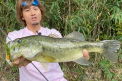 Megabass Vibration-X Dyna (Rattle In) -Angelgeschäft MB VXDR 4513473465505r 3