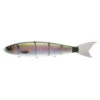 Madness Japan Balam Swimbait 2 Madness Japan Balam Swimbait -Angelgeschäft MJPBSIMr 1