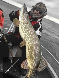 Eastfield Wingman Curly 23cm, 77g -Angelgeschäft wingman curlr 3